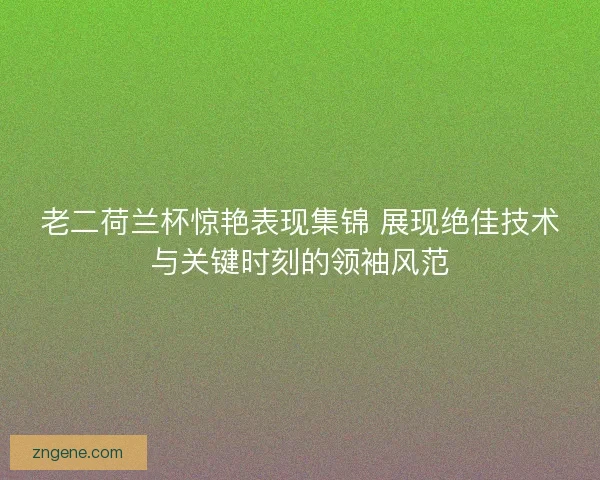 老二荷兰杯惊艳表现集锦 展现绝佳技术与关键时刻的领袖风范