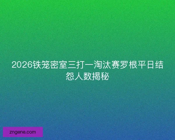 2026铁笼密室三打一淘汰赛罗根平日结怨人数揭秘