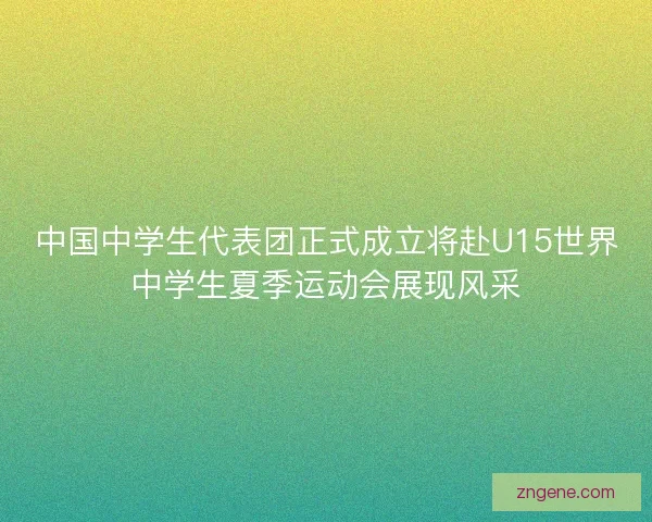 中国中学生代表团正式成立将赴U15世界中学生夏季运动会展现风采